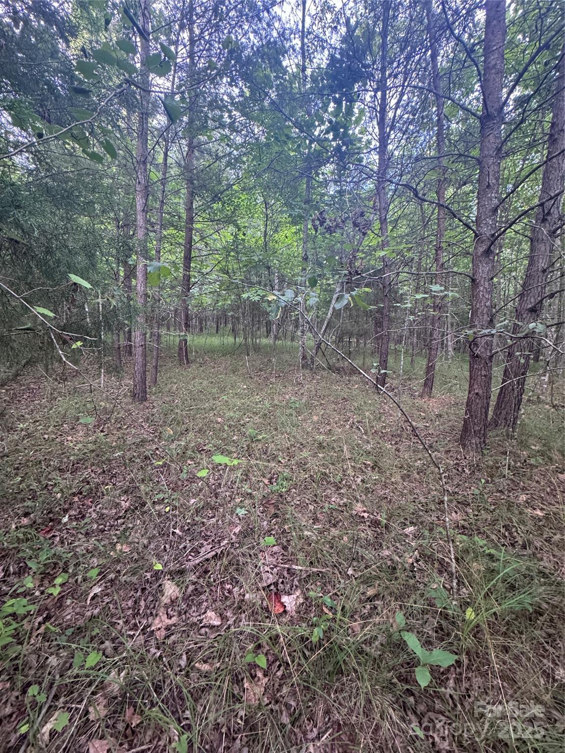 Clearwater Creek - Land