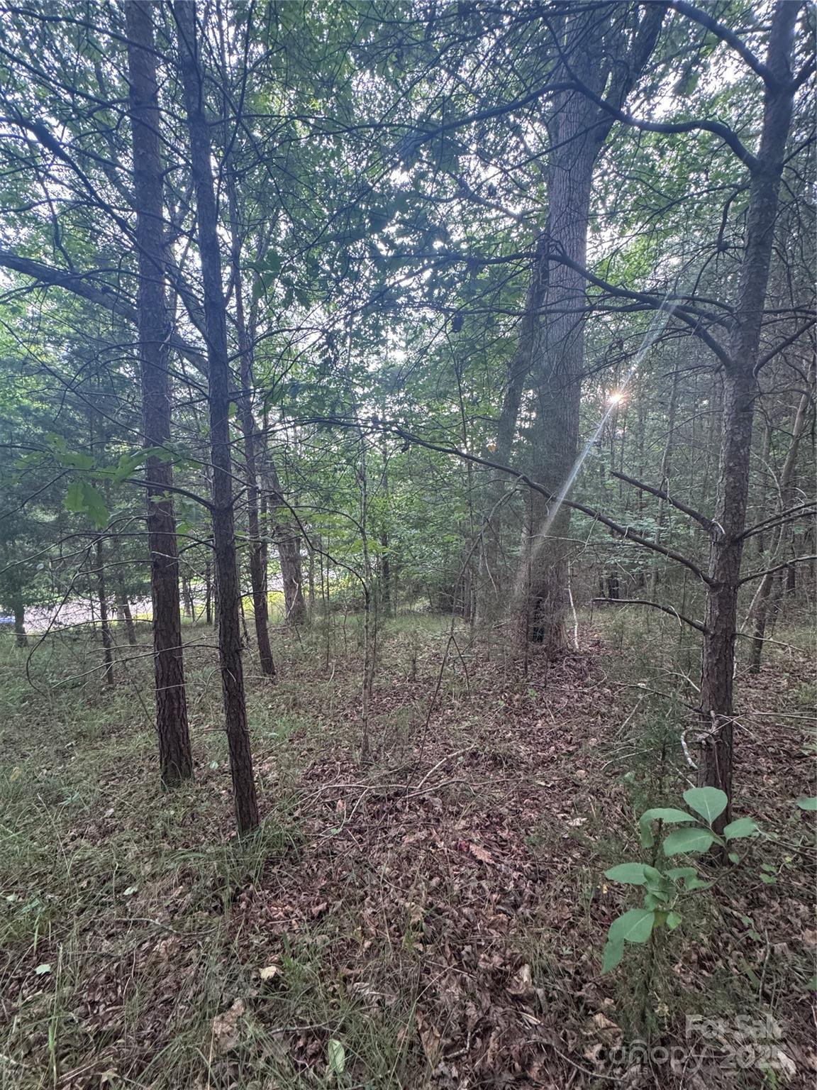 0 Cross Creek Drive 67