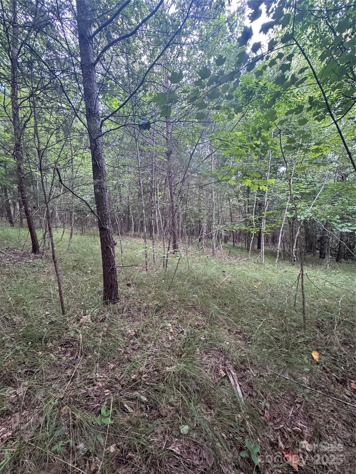 Clearwater Creek - Land