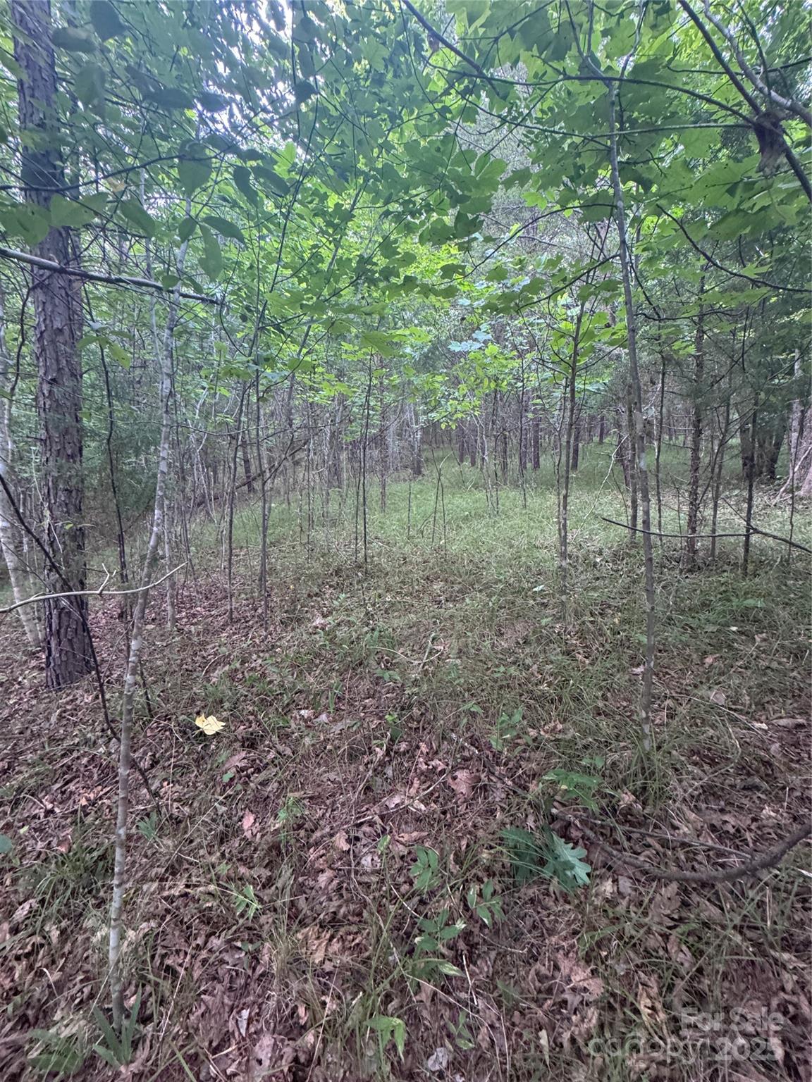 Clearwater Creek - Land