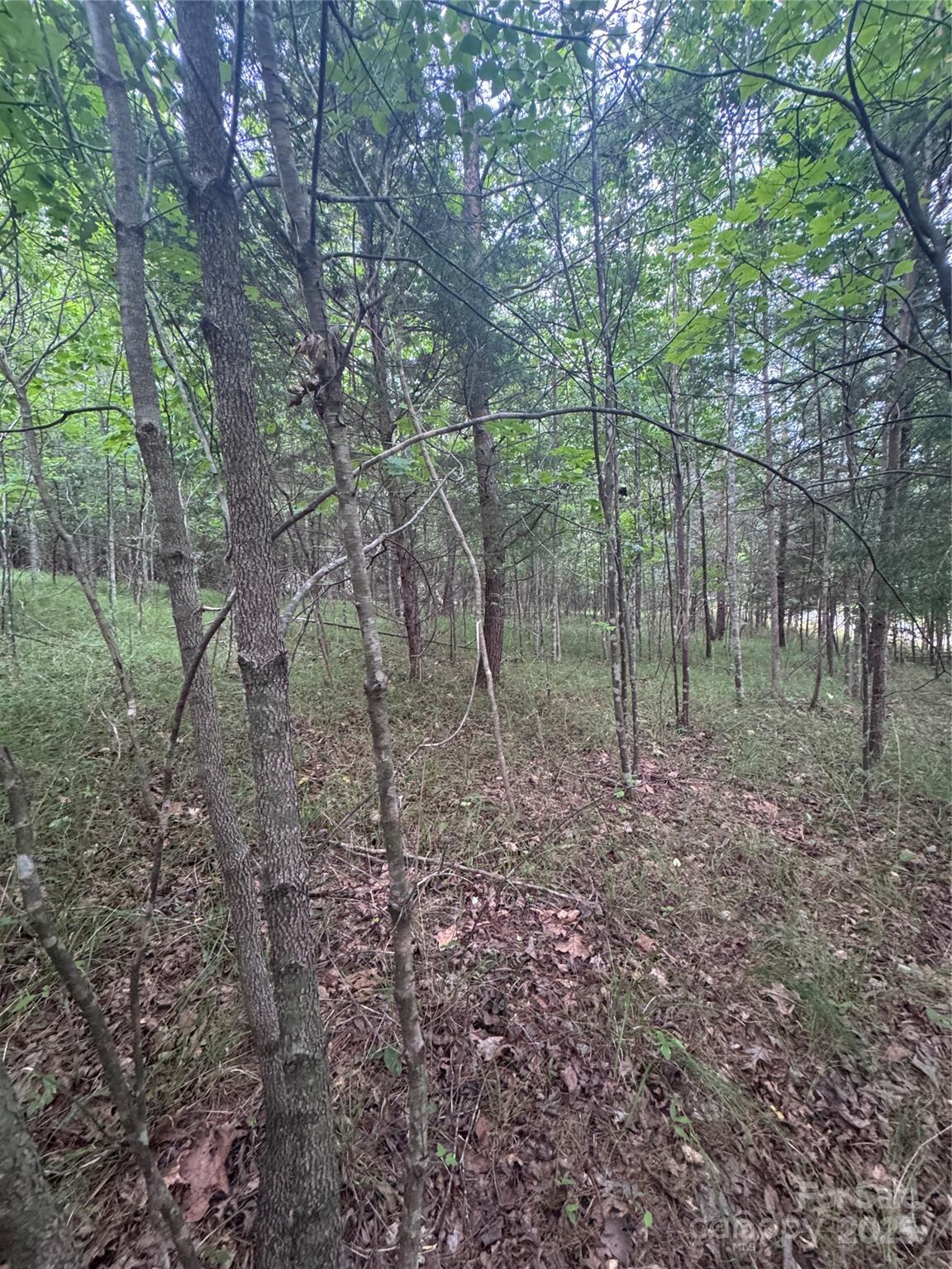 0 Cross Creek Drive 67