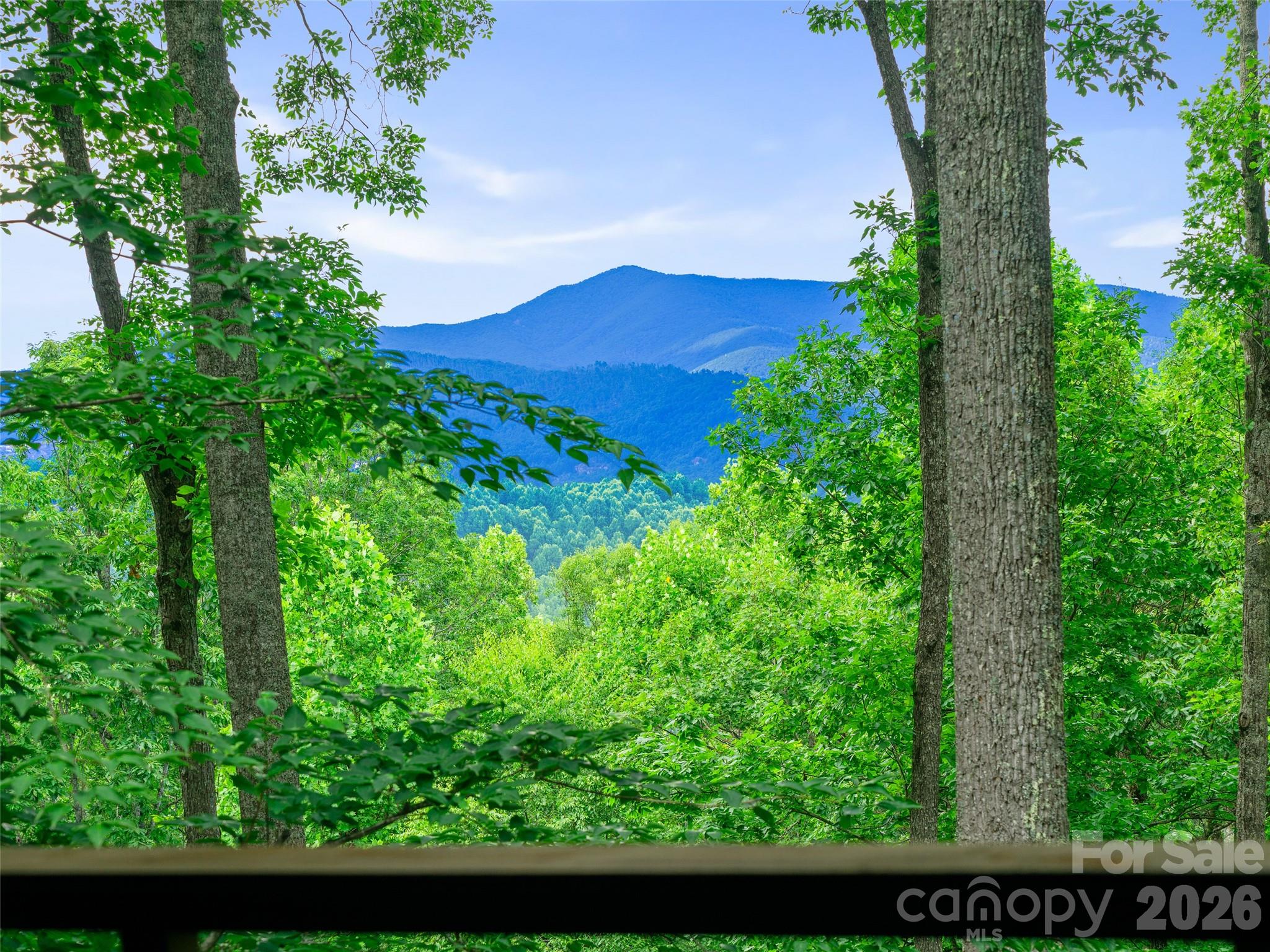 Swiss Pine Lake - Residential