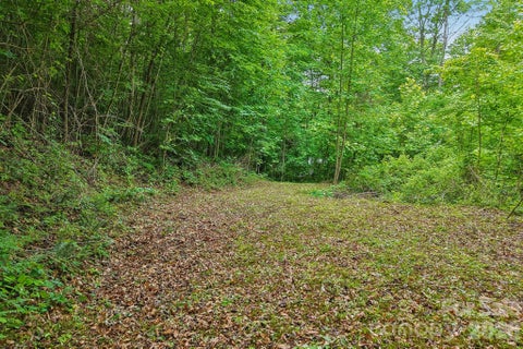 Photo of 00 Sequoyah Drive, Waynesville, NC 29786 (MLS # 4389668)