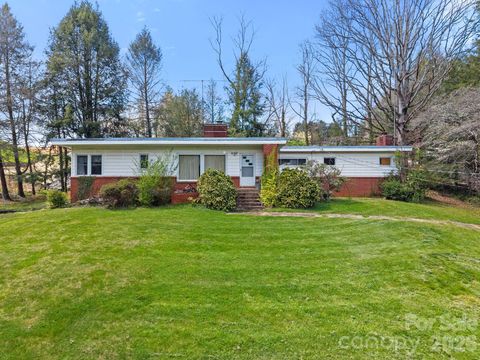 7 Acton Woods Road Candler NC 28715