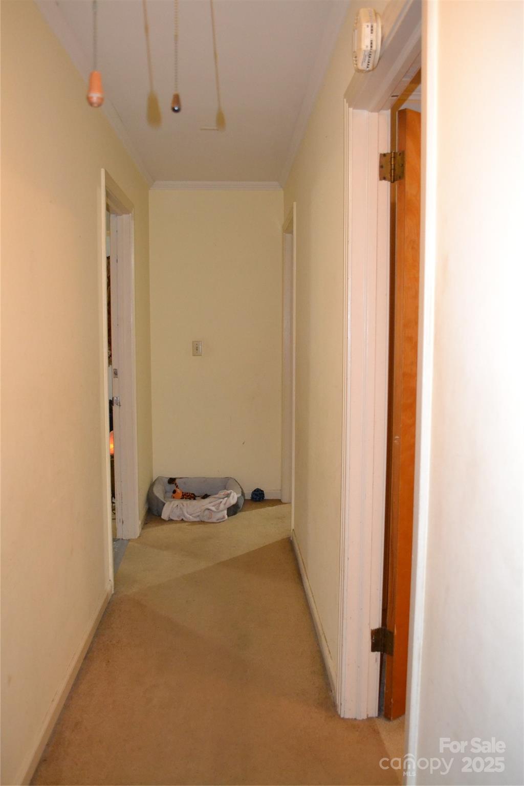 Wesley Heights - Residential