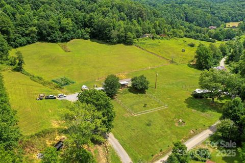863 Water Wheel Cove Clyde NC 28721