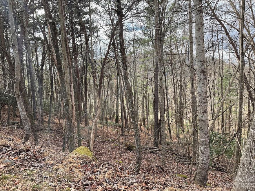 This 2.33 acre lot is in a subdivision with paved roads, underground utilities, and mountain views. This lot is rolling from from front to back lot. The location of this lot is 20 minutes to shopping, dining and other amenities. A must see!