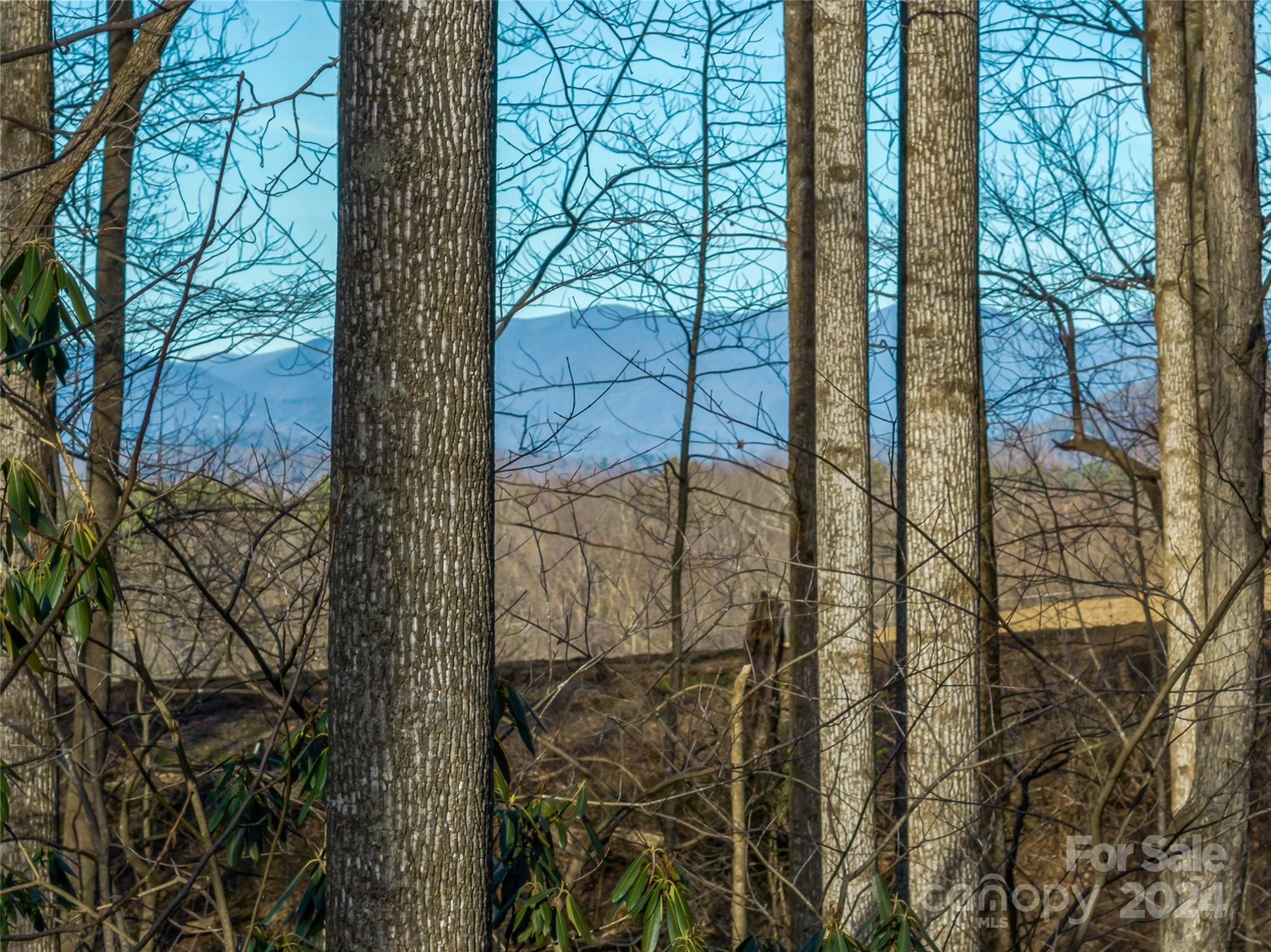 Powder Springs - Land