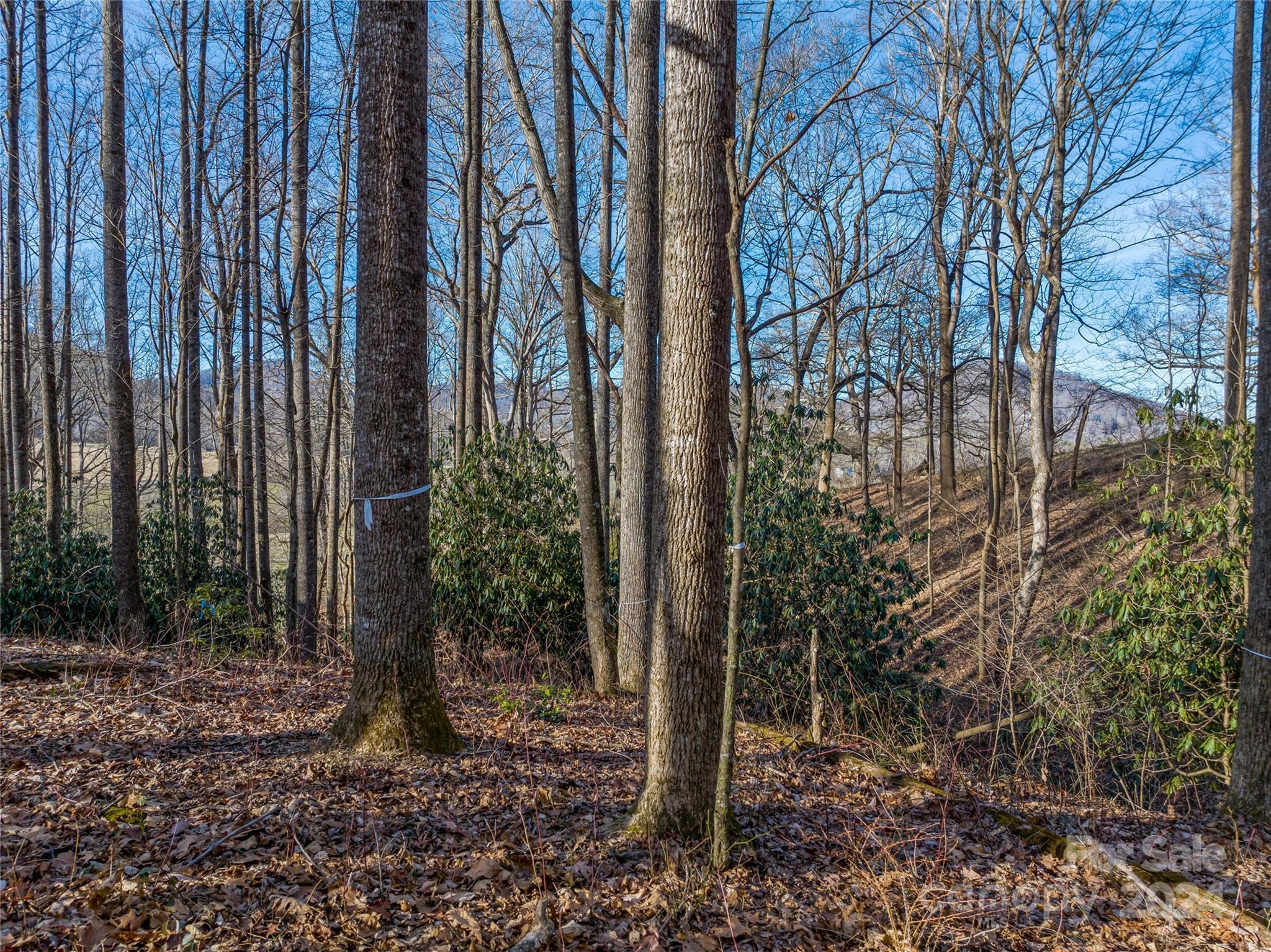 Powder Springs - Land