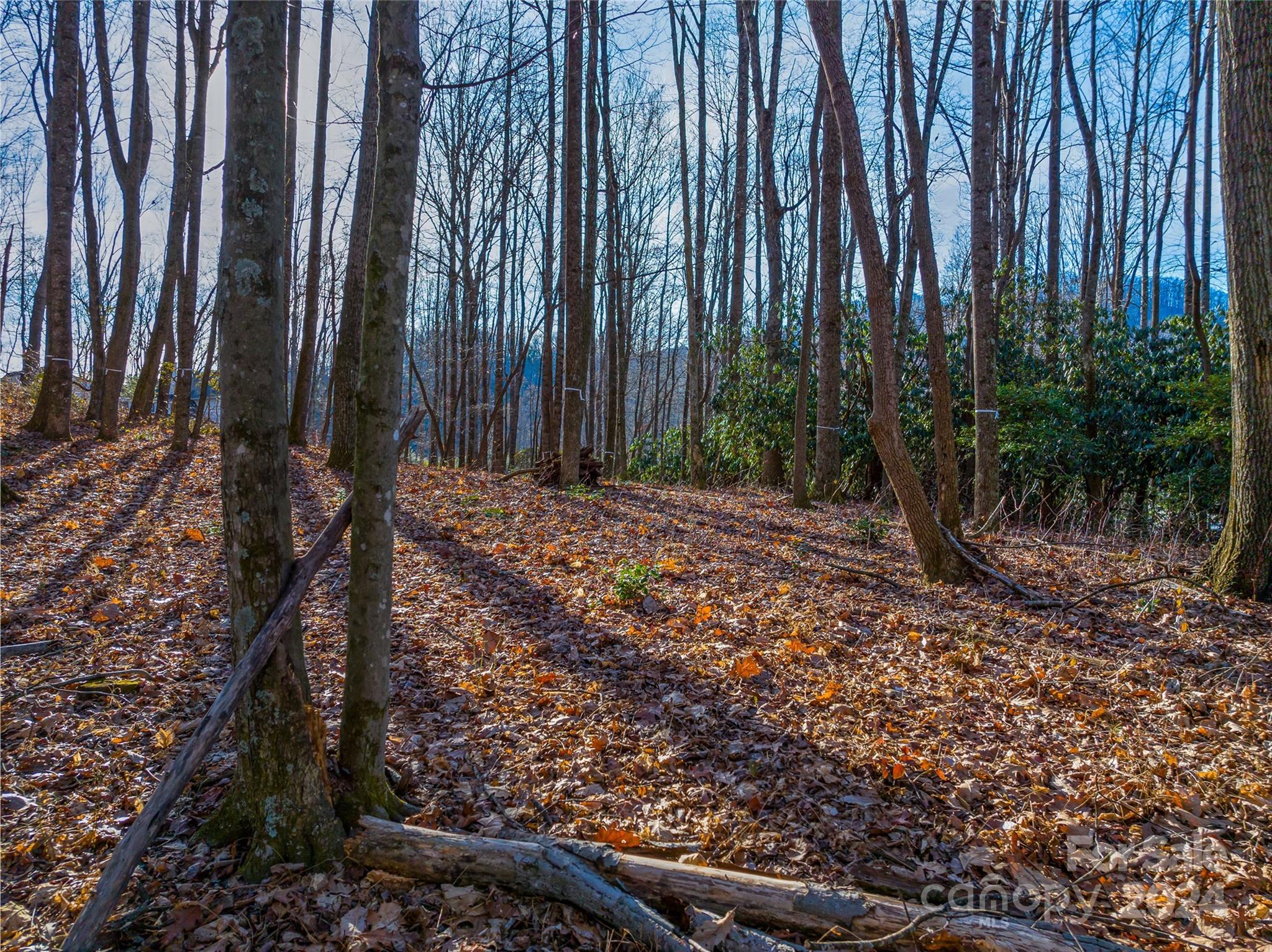 Powder Springs - Land