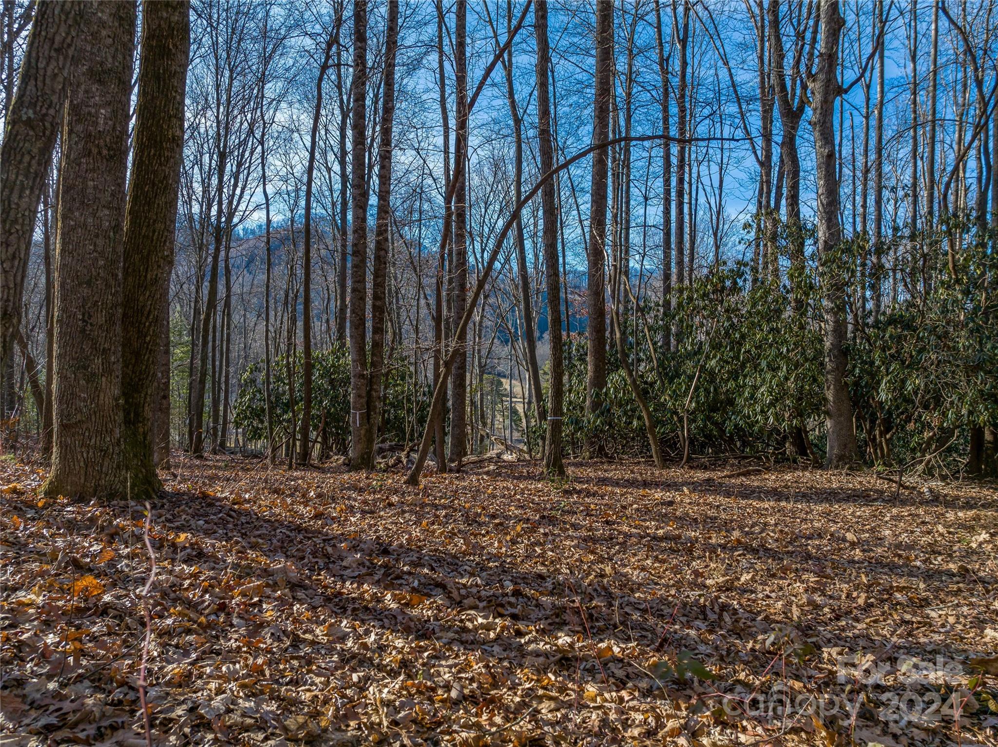 Powder Springs - Land