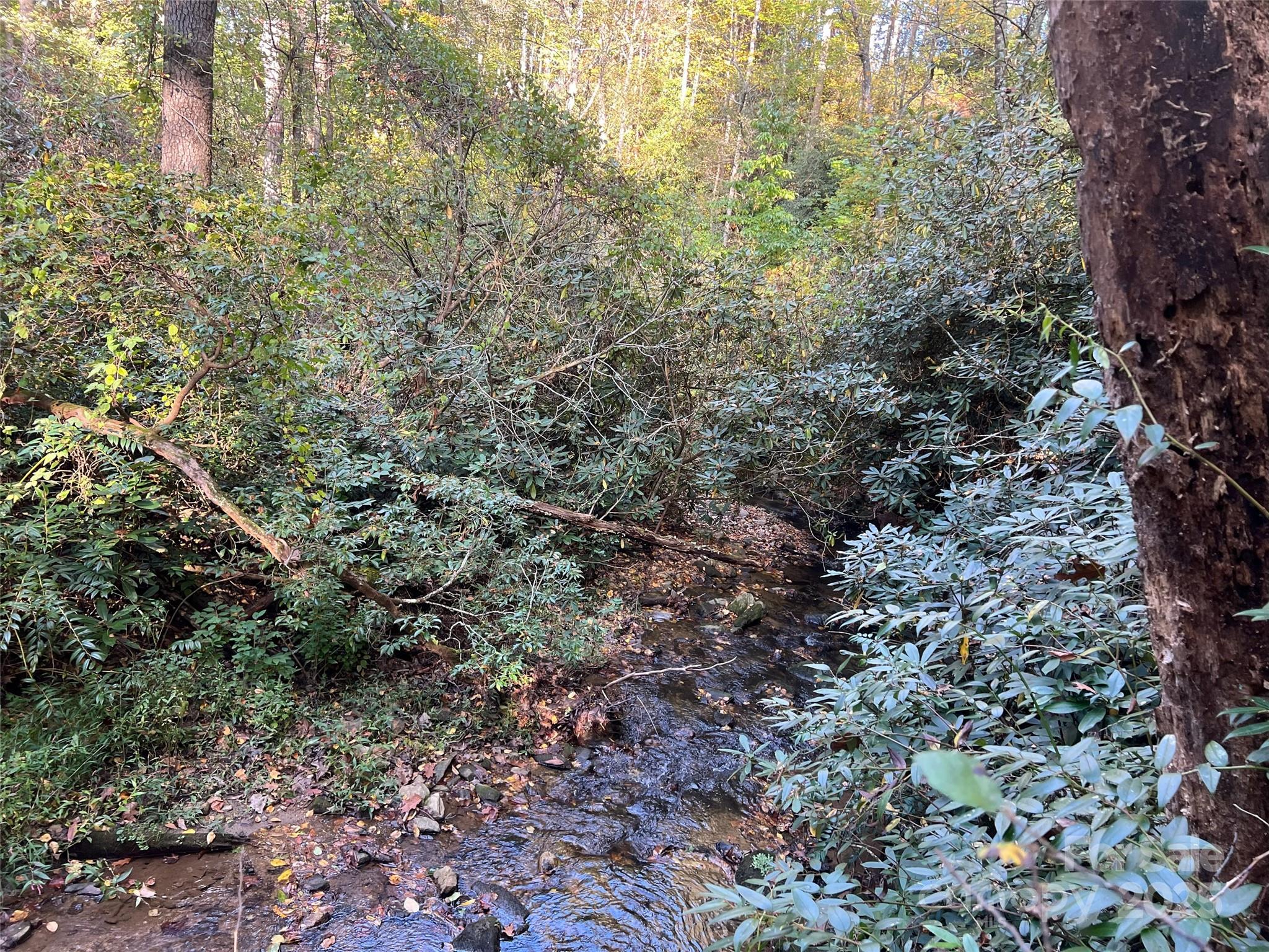6 Dividing Ridge Trail 01