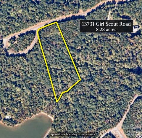 Photo of 13731 Girl Scout Road, Charlotte, NC 28278 (MLS # 4437479)
