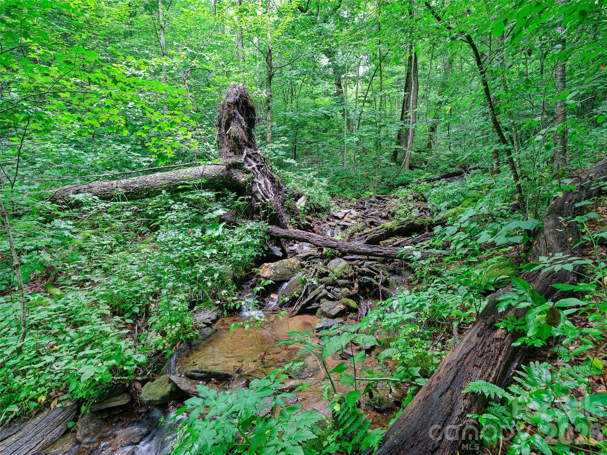 0 Ogle Meadows Road #81