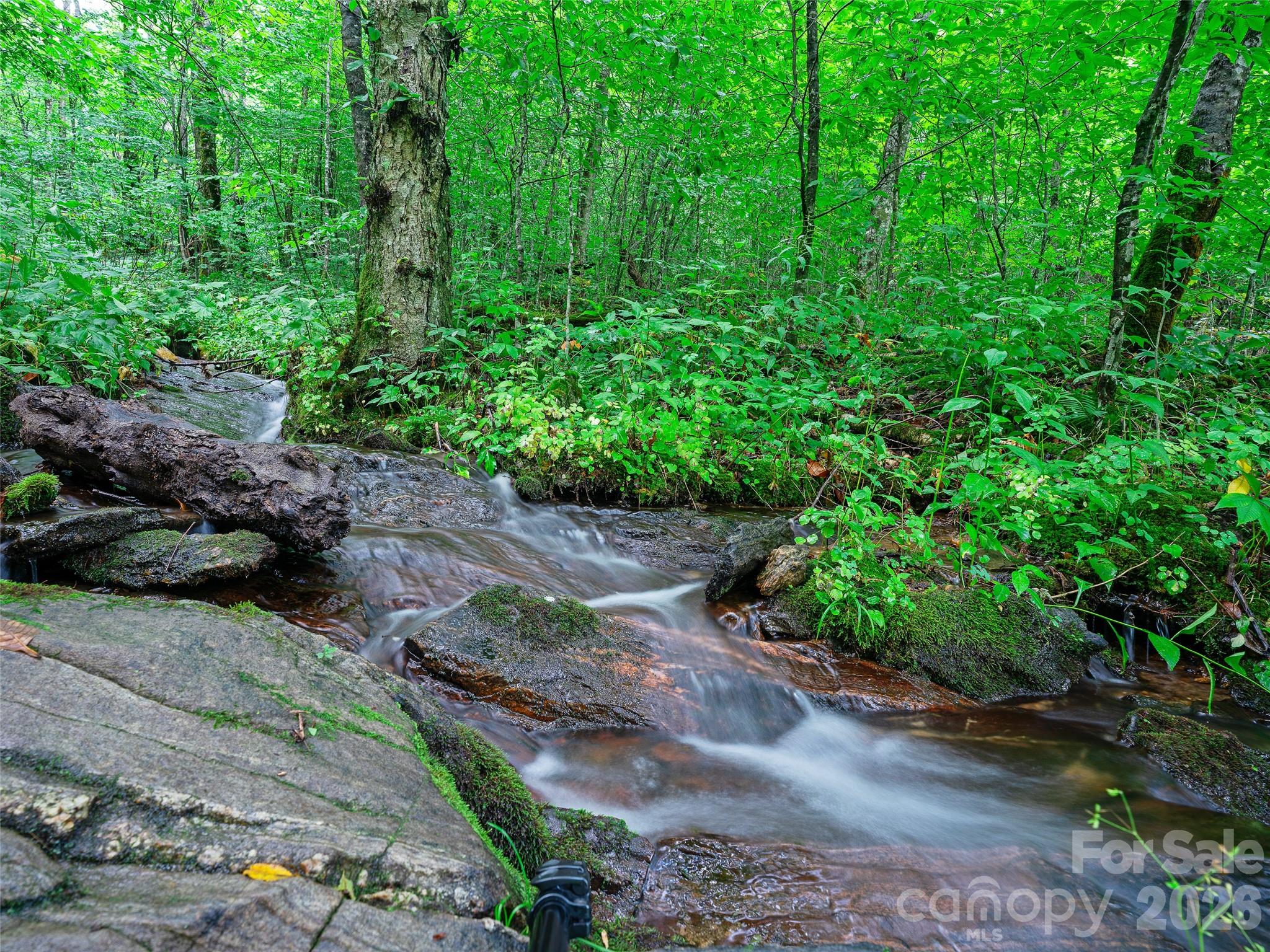0 Ogle Meadows Road #81