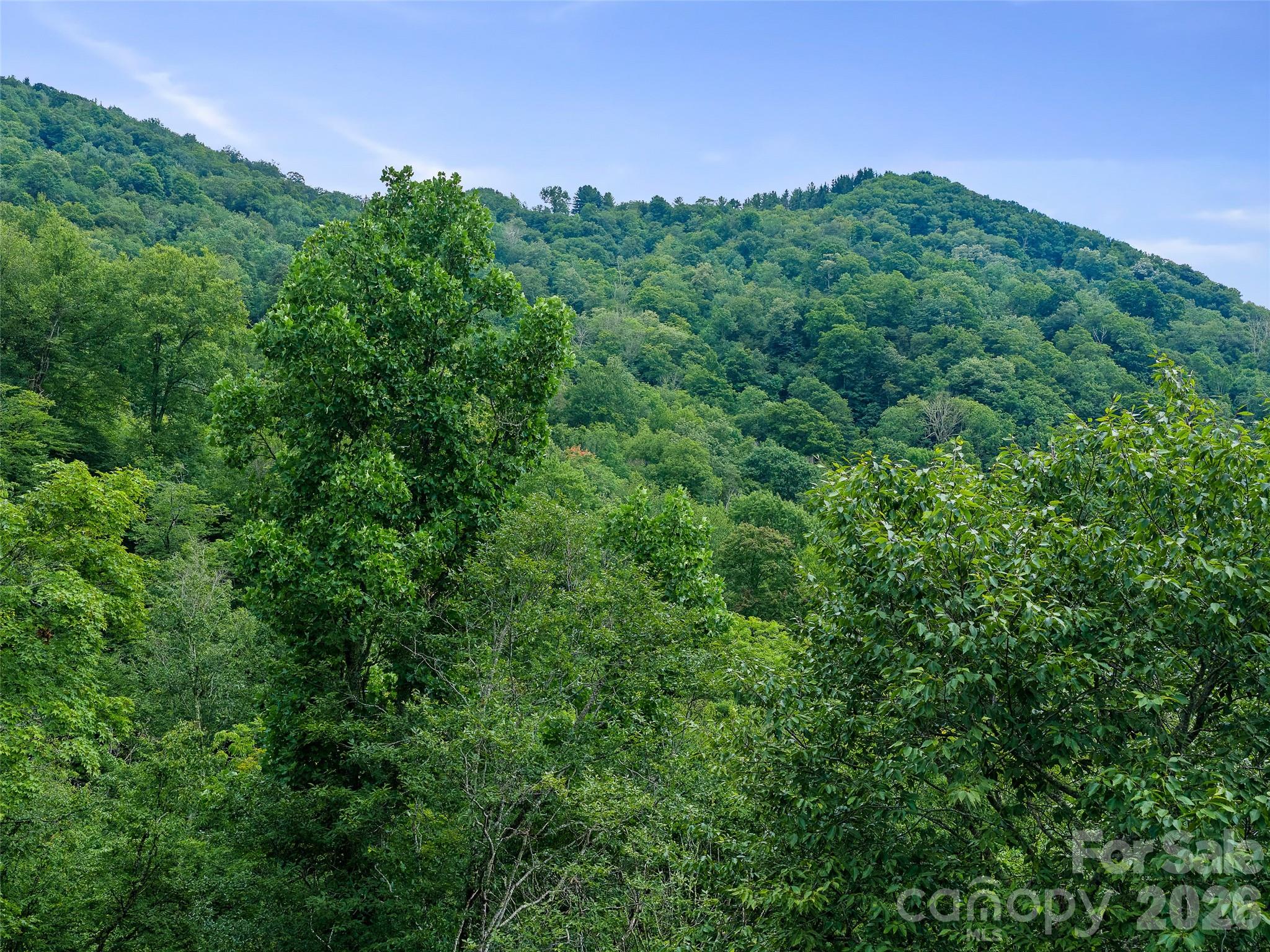 0 Ogle Meadows Road #81