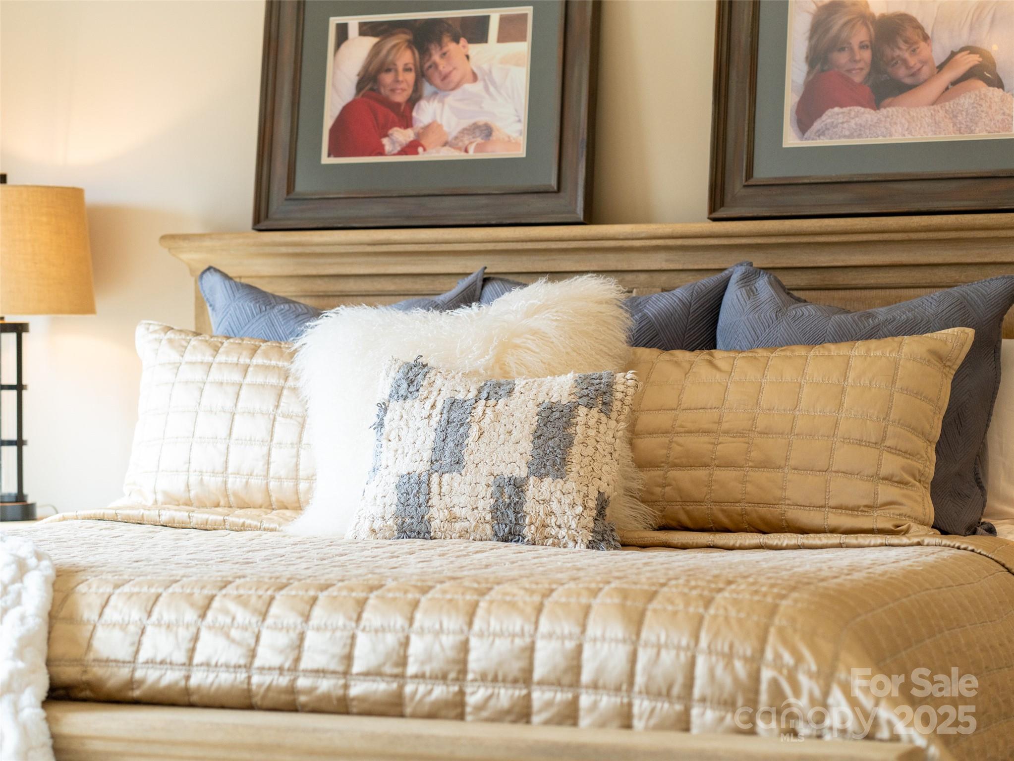 Biltmore Lake - Residential