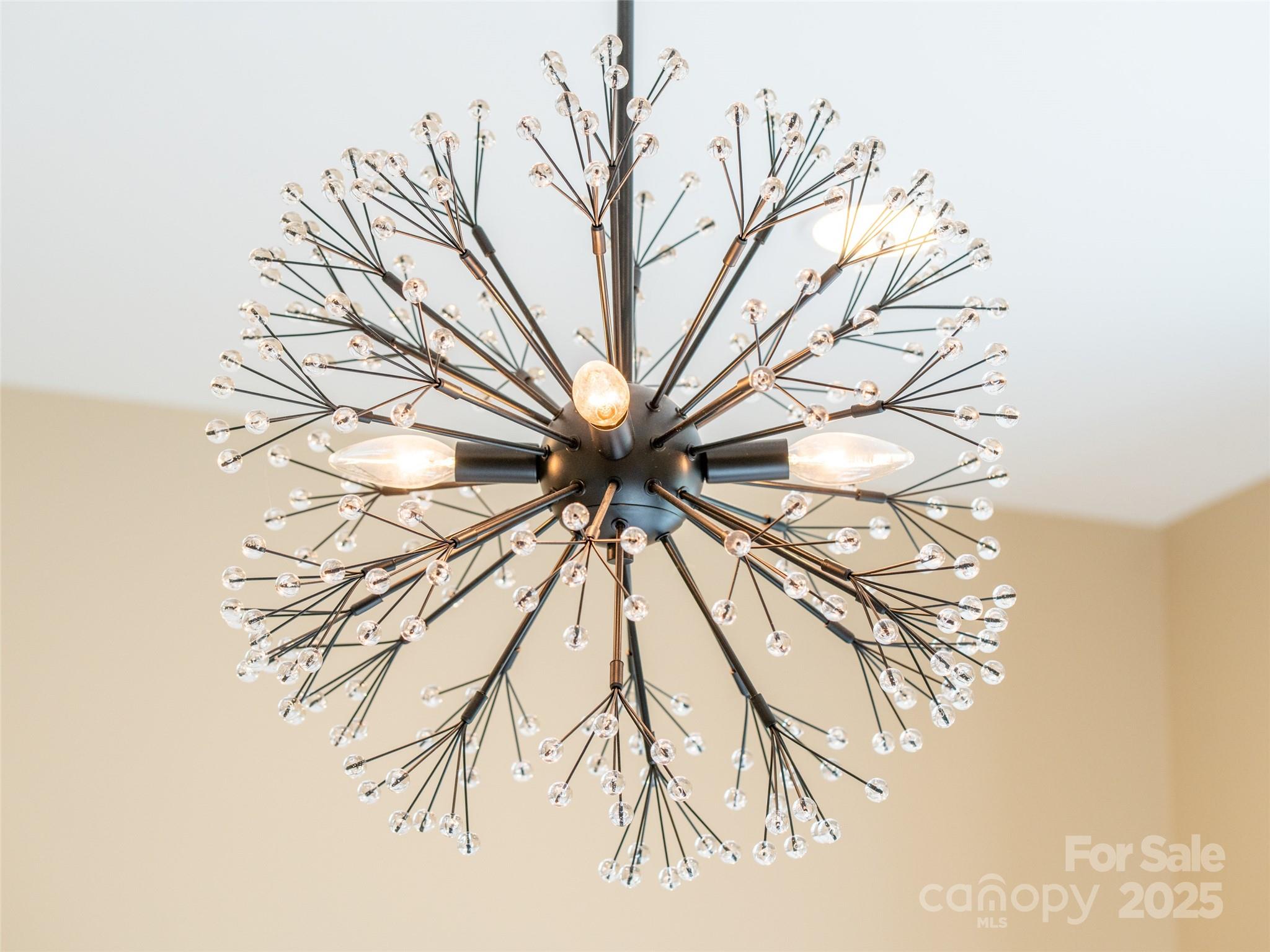 Biltmore Lake - Residential