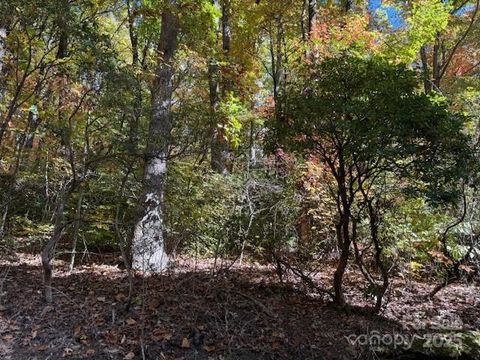 Photo of 1530 Hickory Acres Road, Hendersonville, NC 28792 (MLS # 4313068)