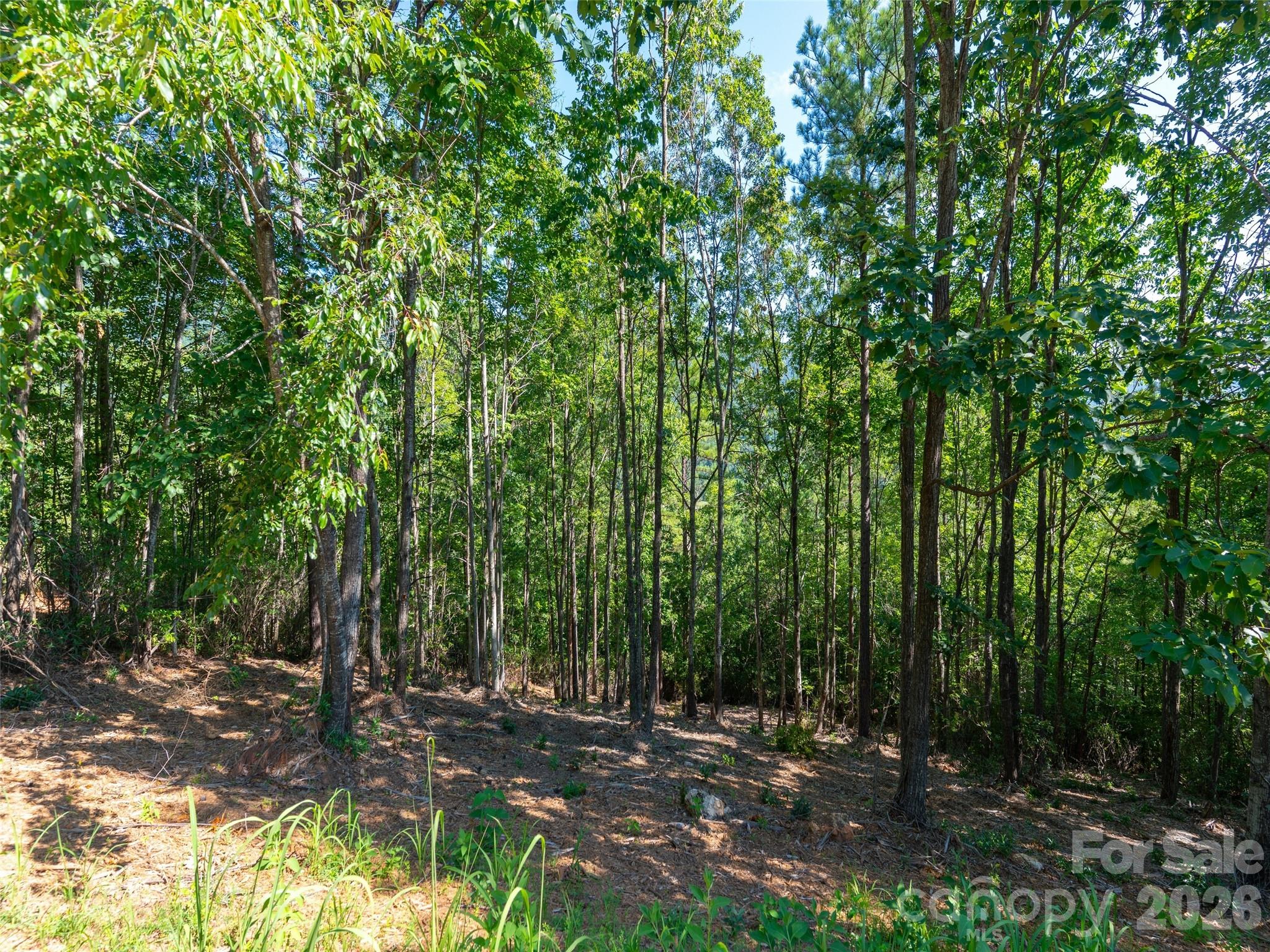 Brights Creek - Residential