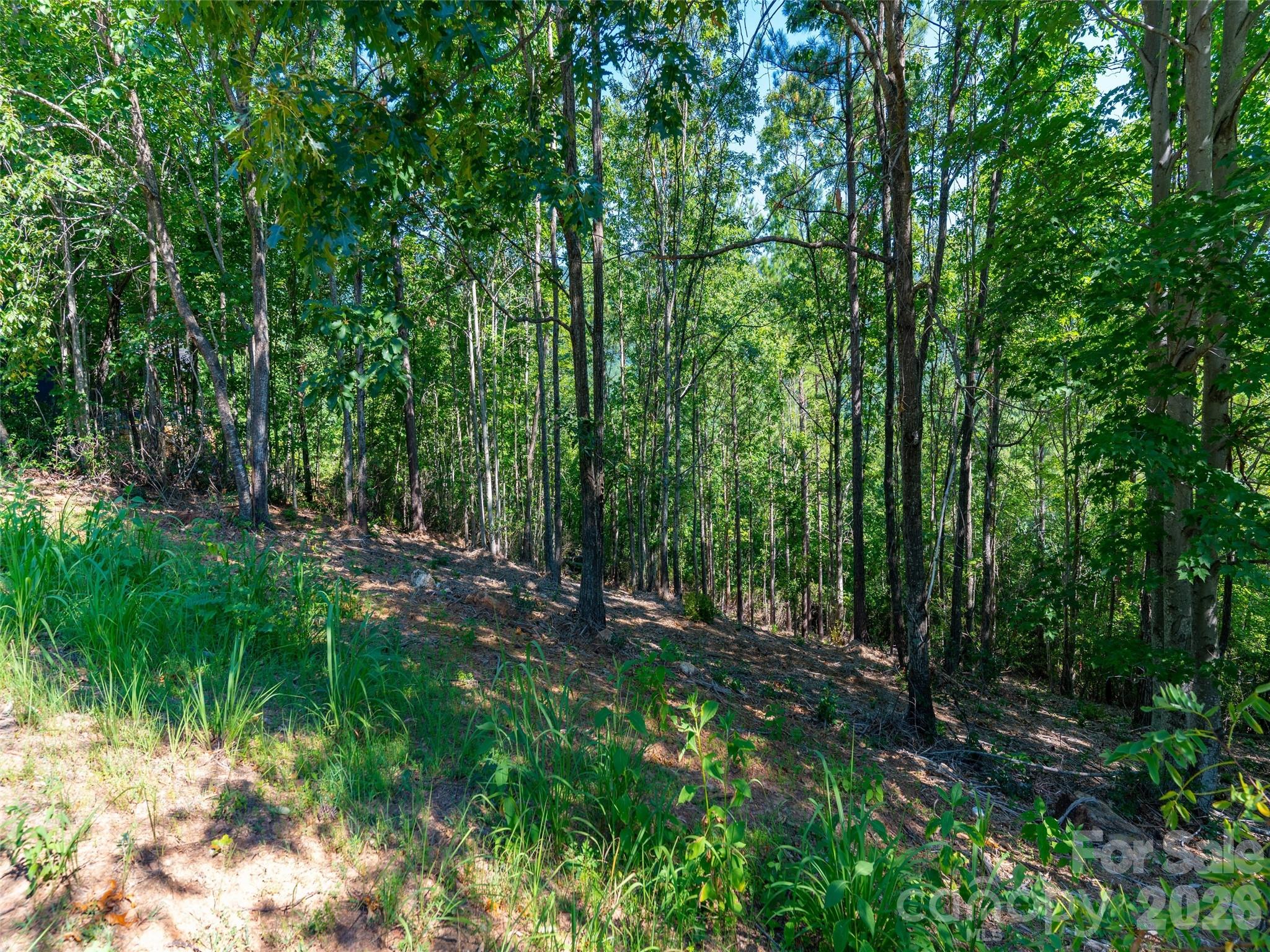 Brights Creek - Residential