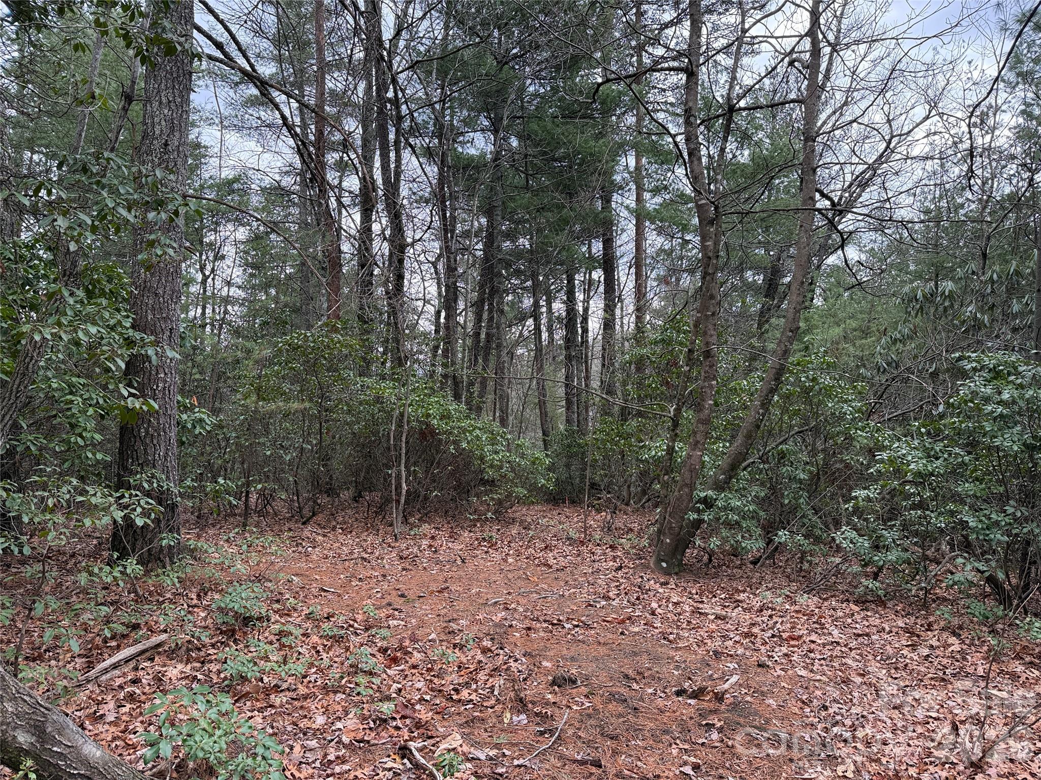 Buck Mountain - Land