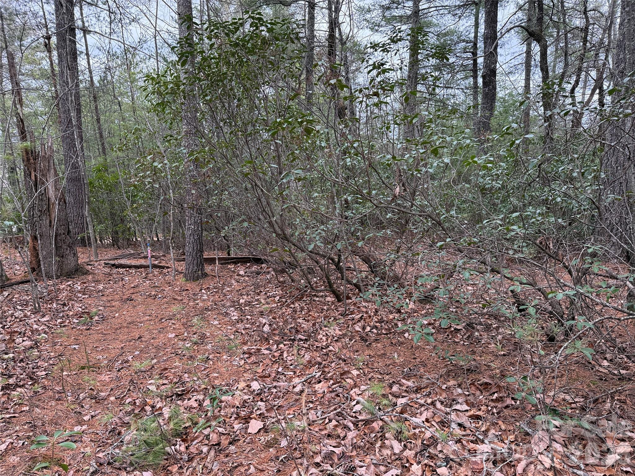 Buck Mountain - Land