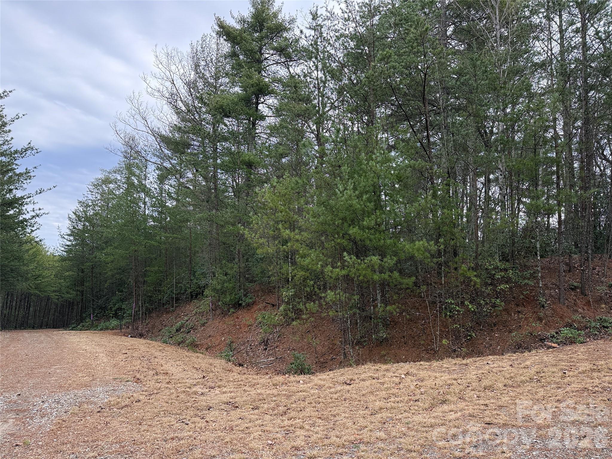 Buck Mountain - Land