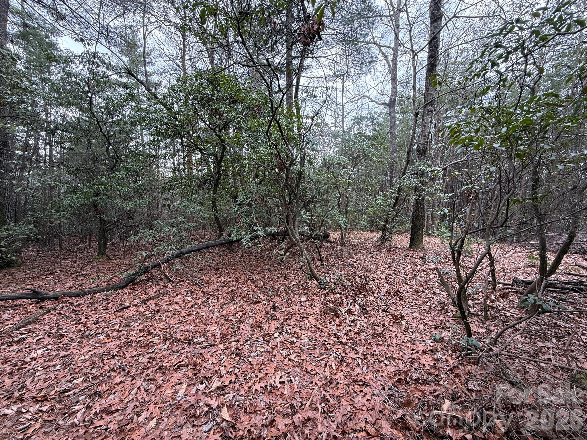 Buck Mountain - Land