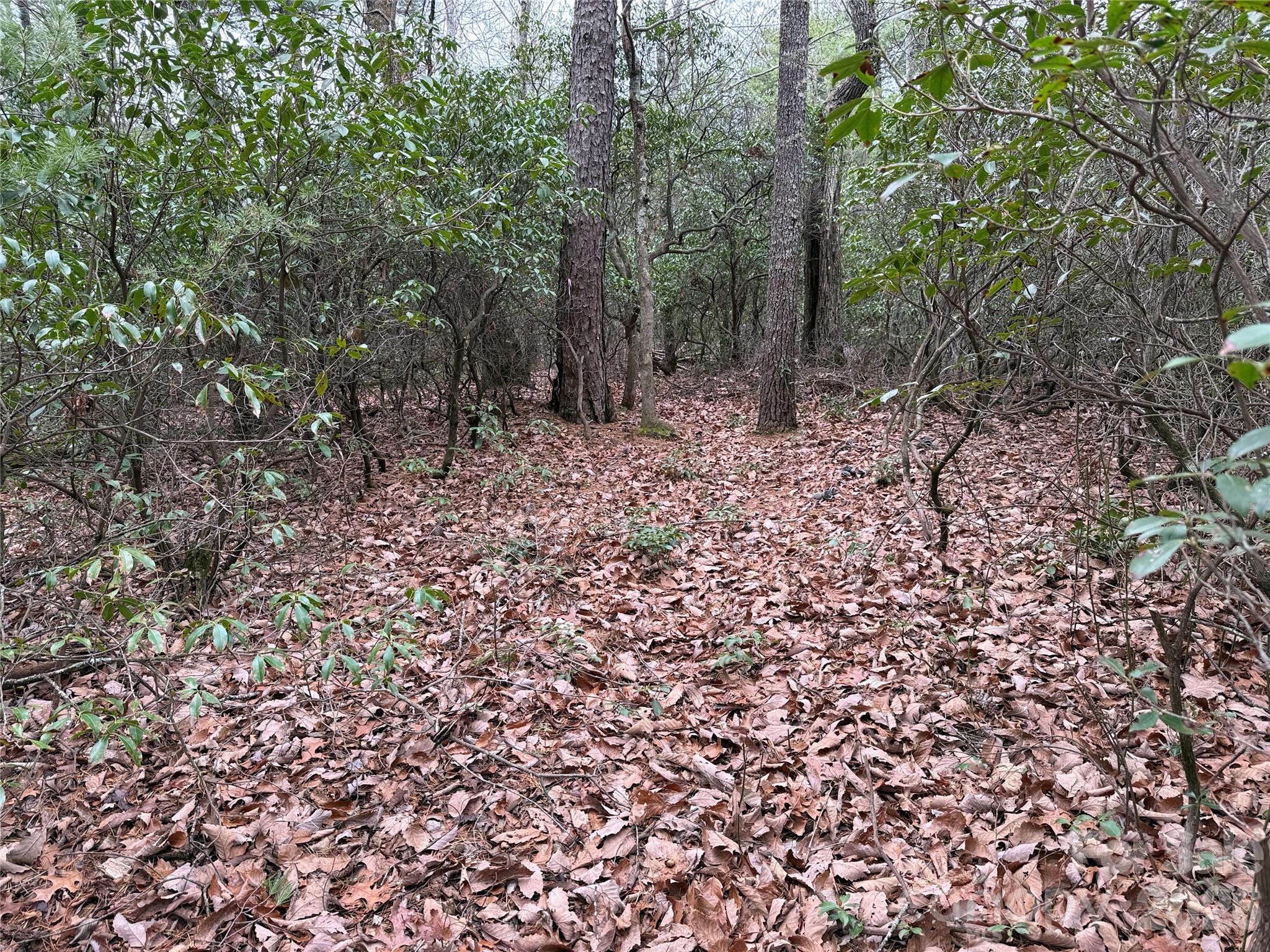 Buck Mountain - Land