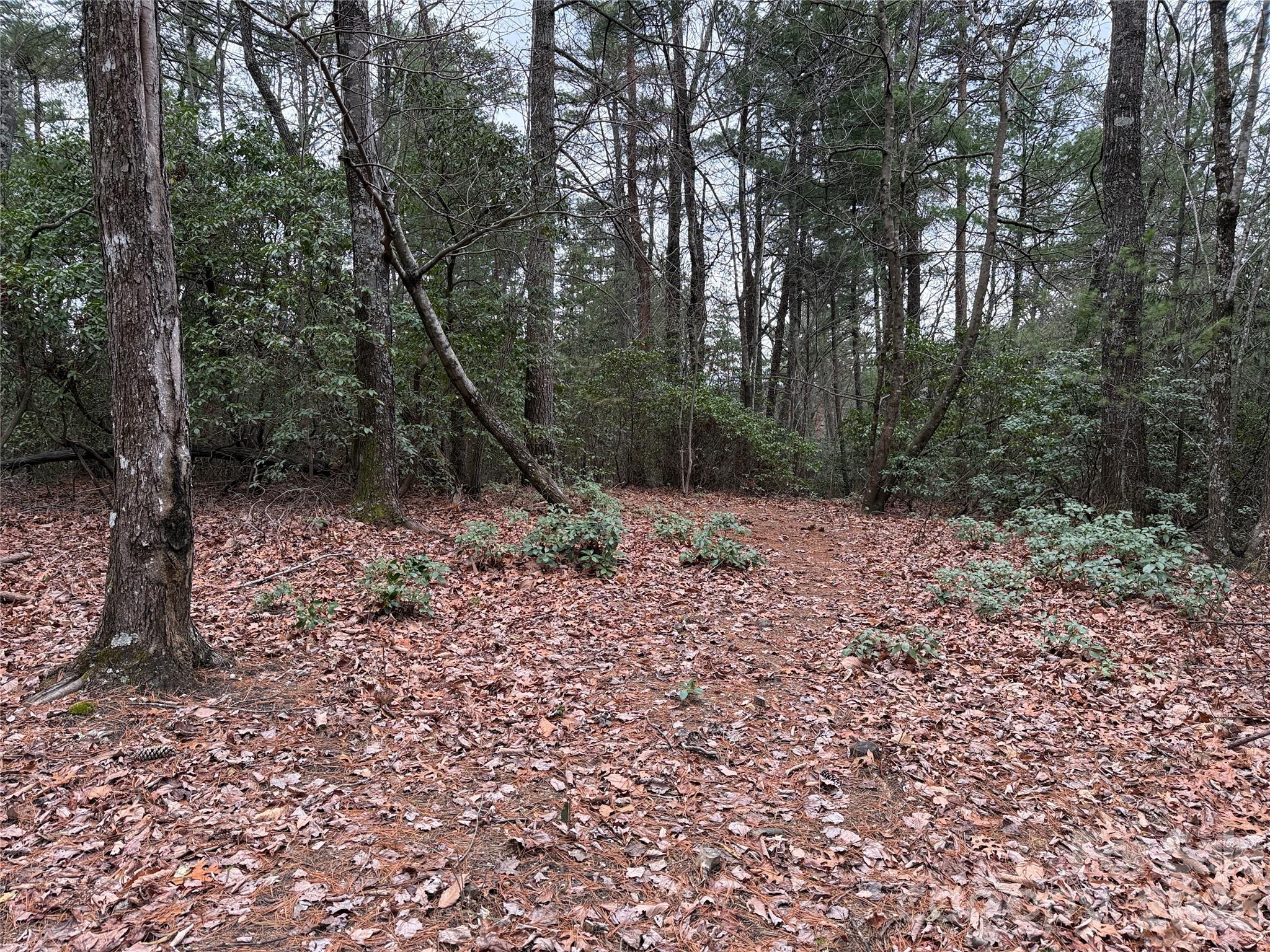 Buck Mountain - Land