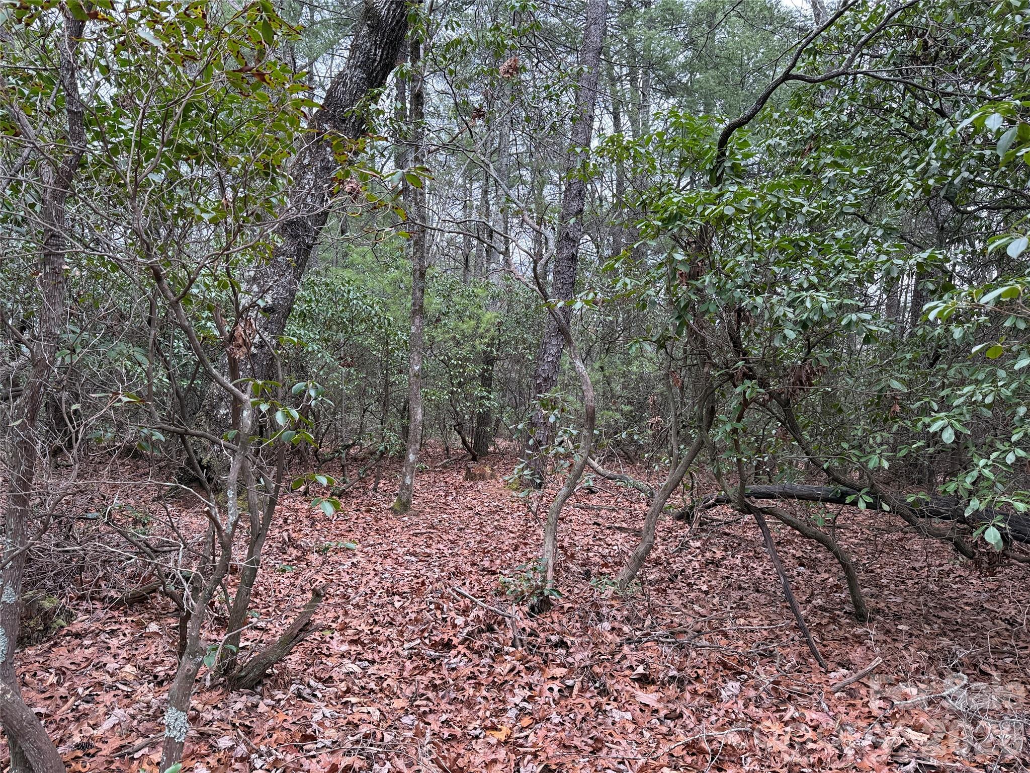 Buck Mountain - Land