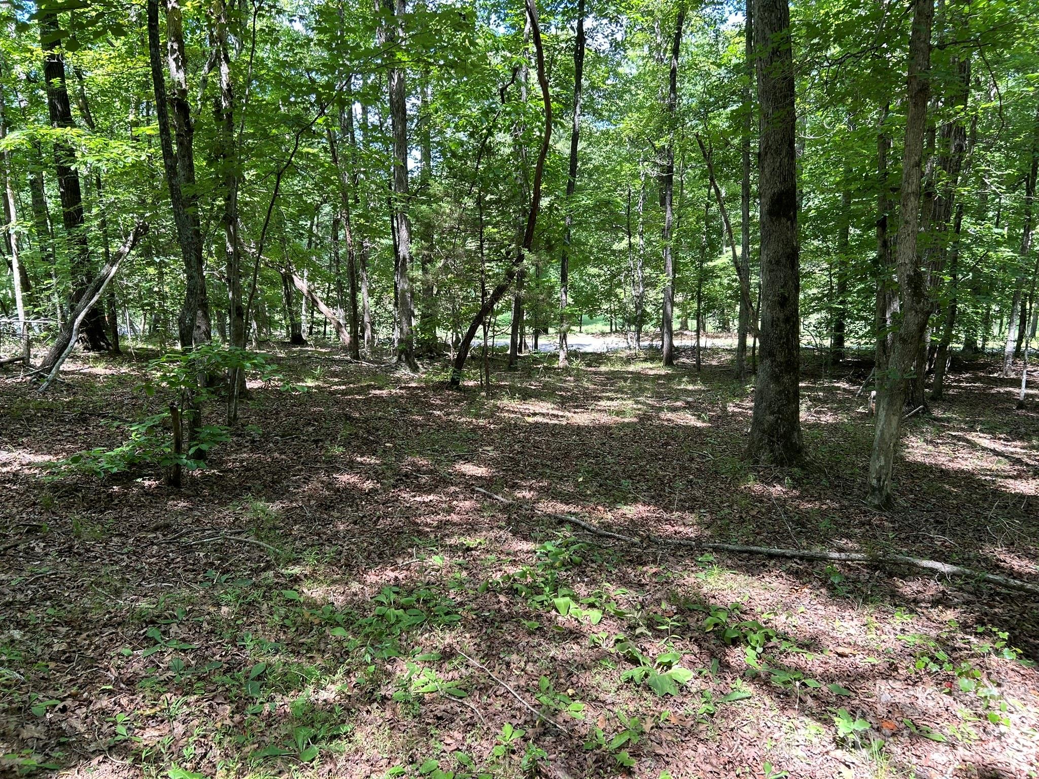 0 Wilderness Ridge 4