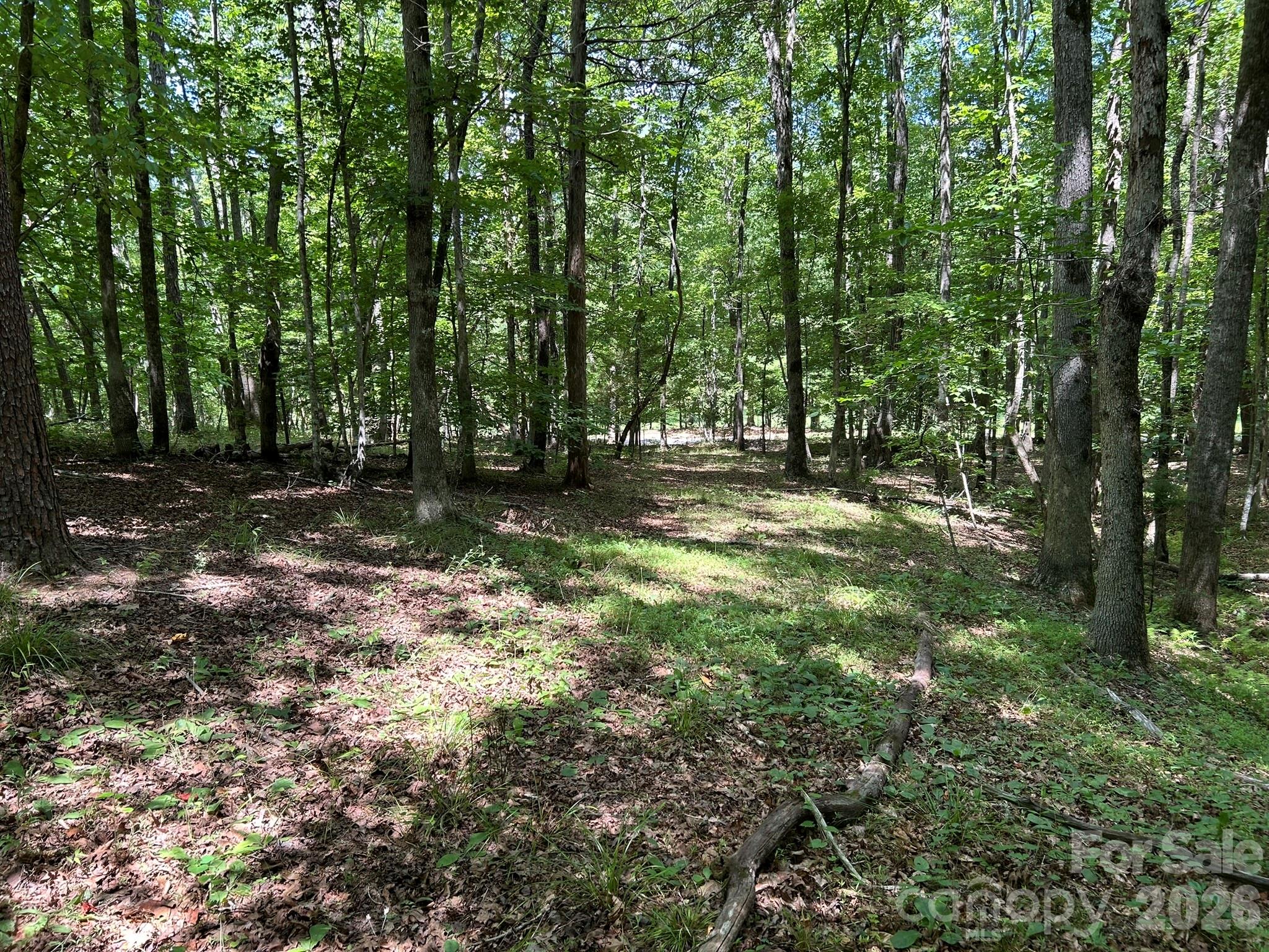 0 Wilderness Ridge 4
