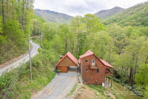 508 Deep Gap Road Burnsville NC 28714