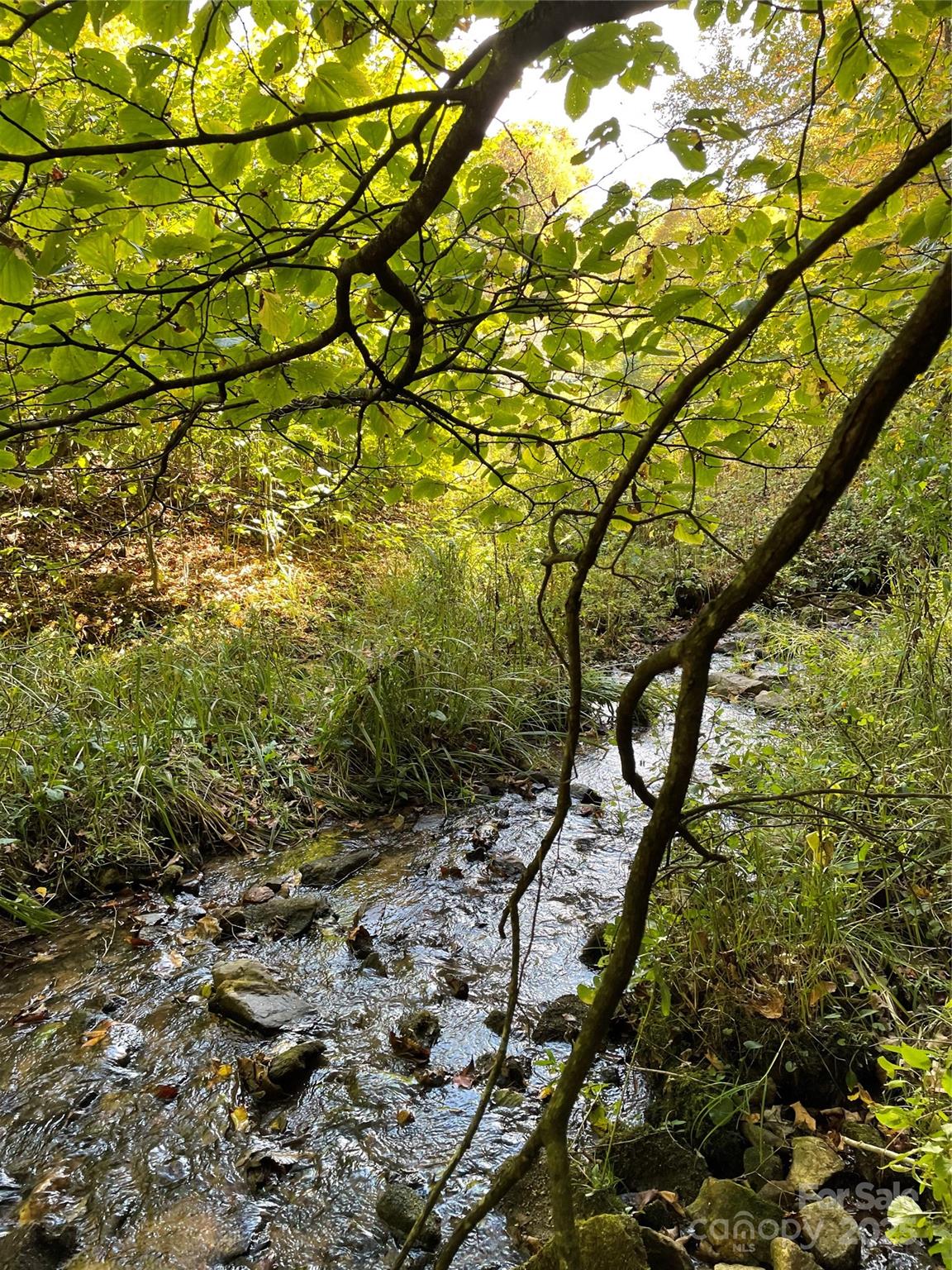 1201 Simms Fork Road