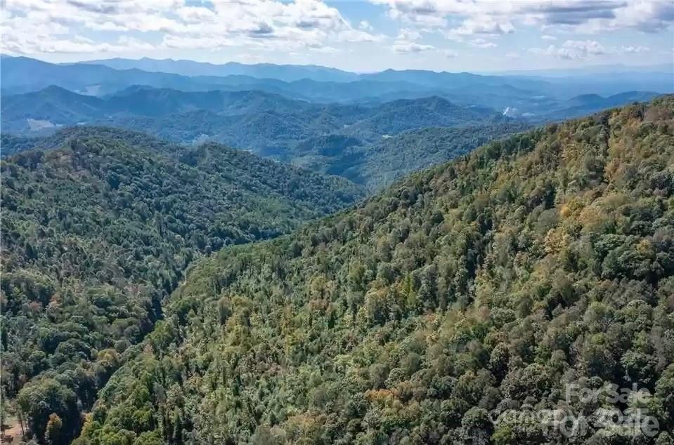 1201 Simms Fork Road