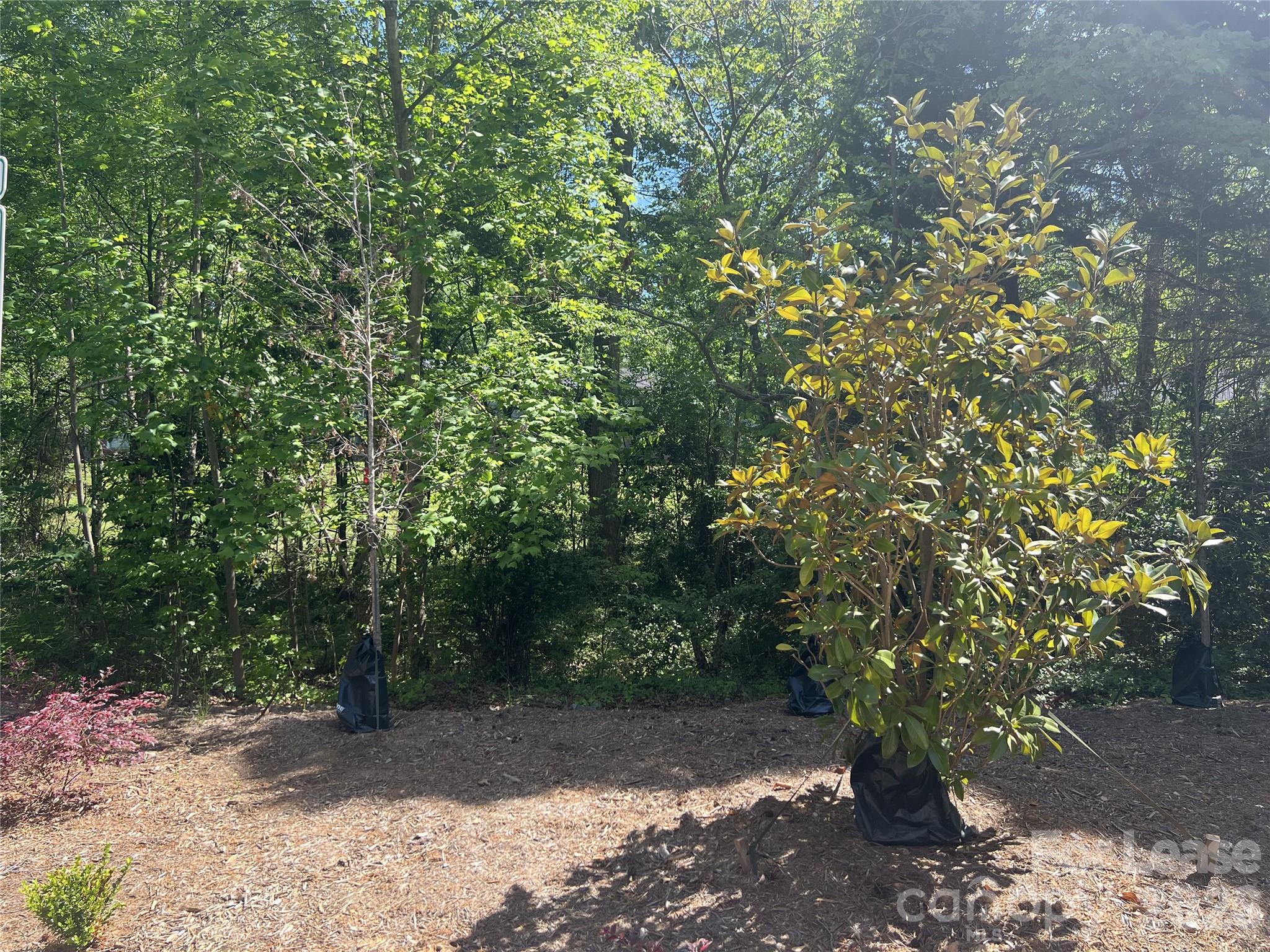 The Bishop at Briar Creek - Residential Lease