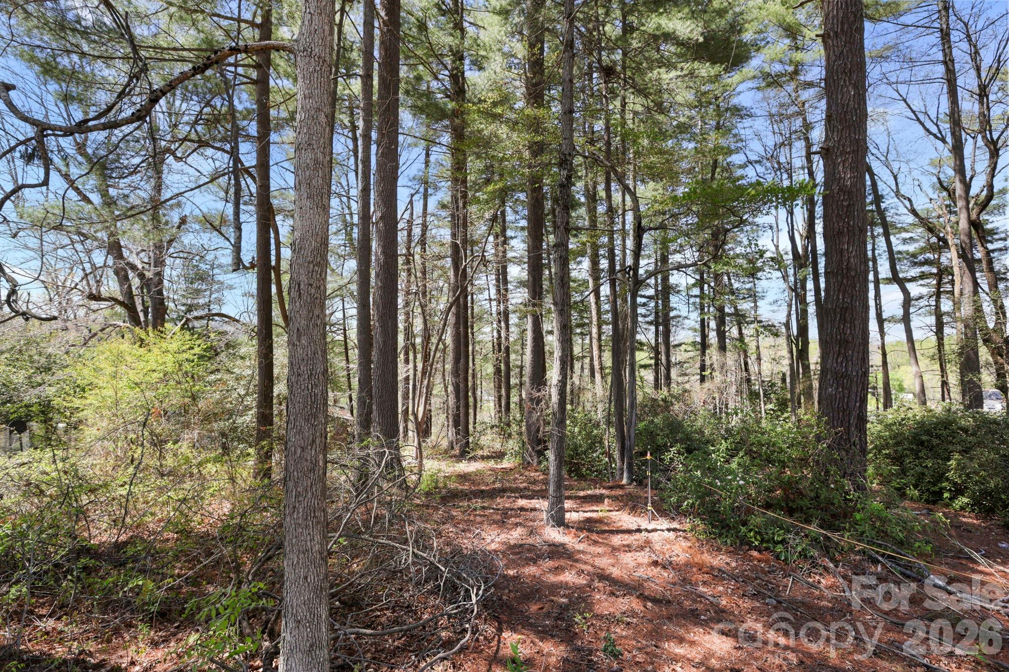 00 Toms Park Circle 21&22