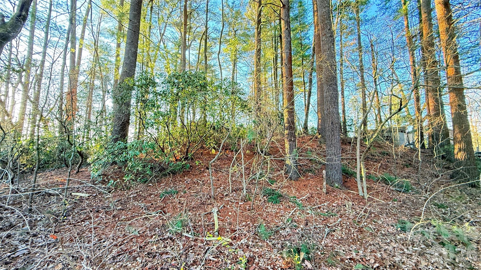 Toms Hill Park - Land