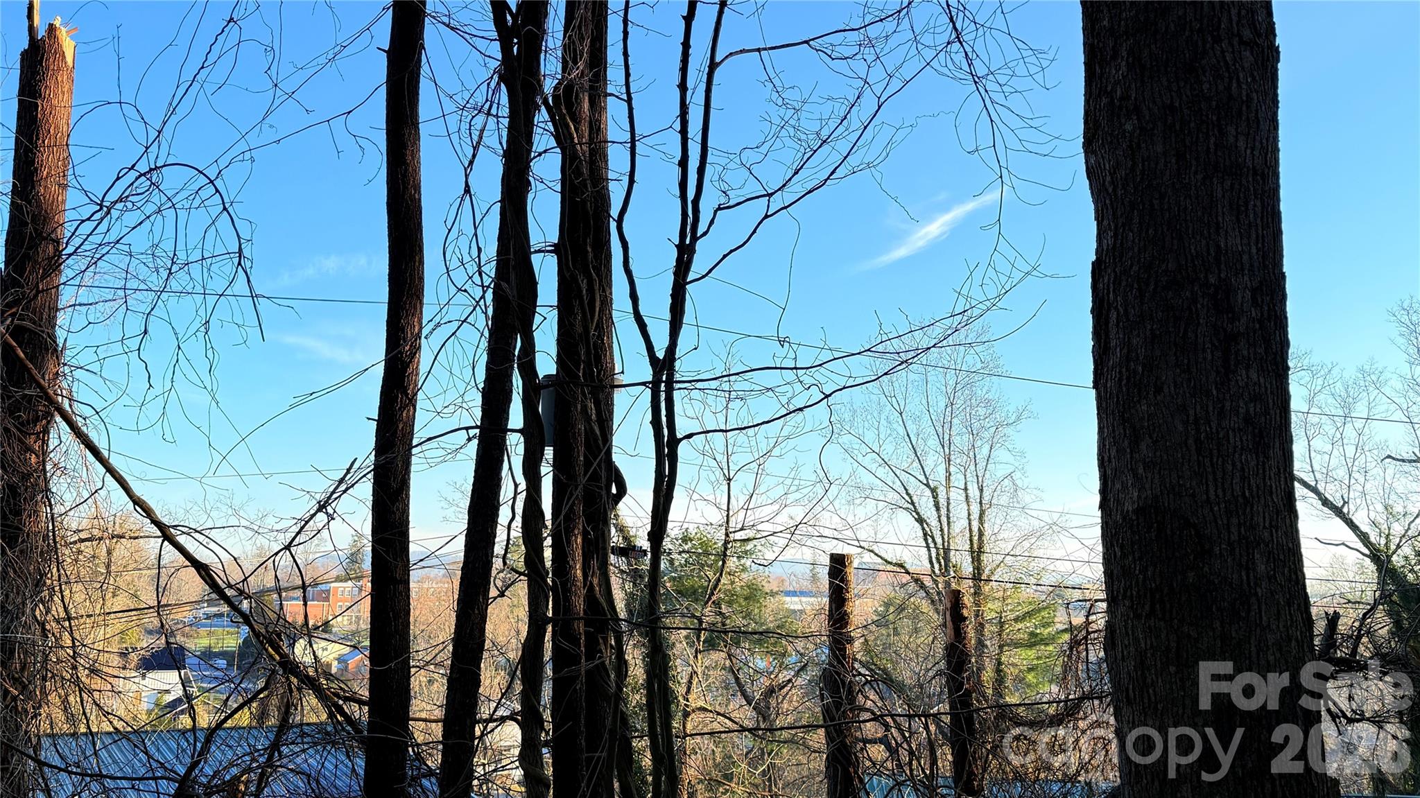 Toms Hill Park - Land