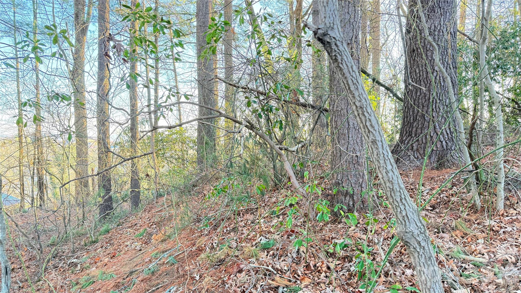 00 Toms Park Circle 21&22