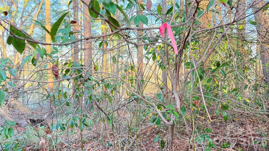 Lots 21 and 22 combine to offer 0.30 acres with southwest-facing views overlooking West Allen Street and Lilly Pond Road, extending to a long-range view of downtown Hendersonville. Minutes from one of the Ecusta Trail’s convenient access points at Willow Road and Kanuga Road, this homesite offers easy connectivity to miles of scenic walking and biking trails. Enjoy proximity to local favorites, including Dry Falls Brewing Company, Hot Dog World, Publix and Fresh Market. City water and sewer are available with applicable tap and connection fees.