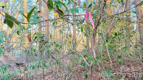 00 Toms Park Circle 21&22 Hendersonville NC 28792