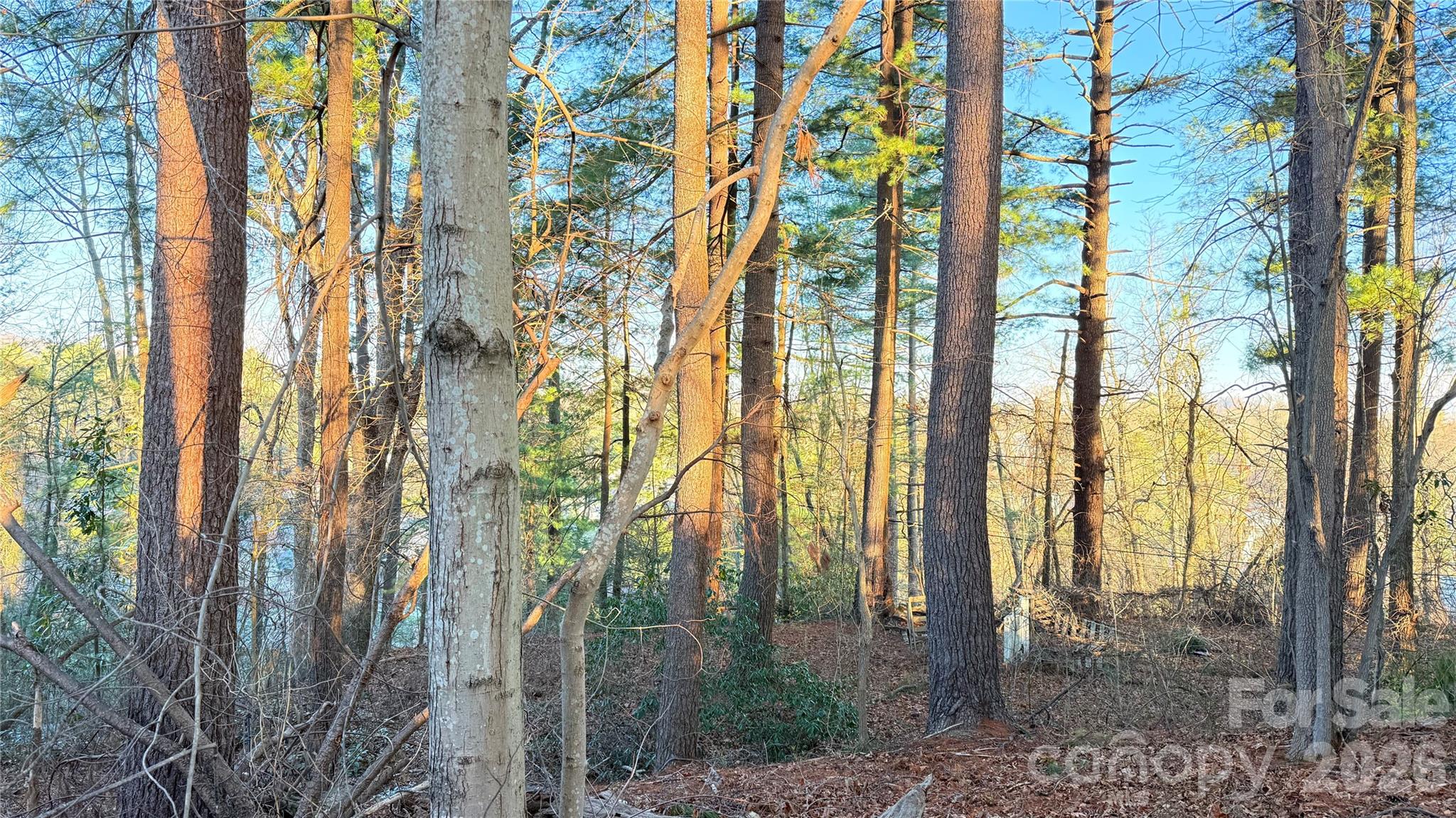 00 Toms Park Circle 21&22