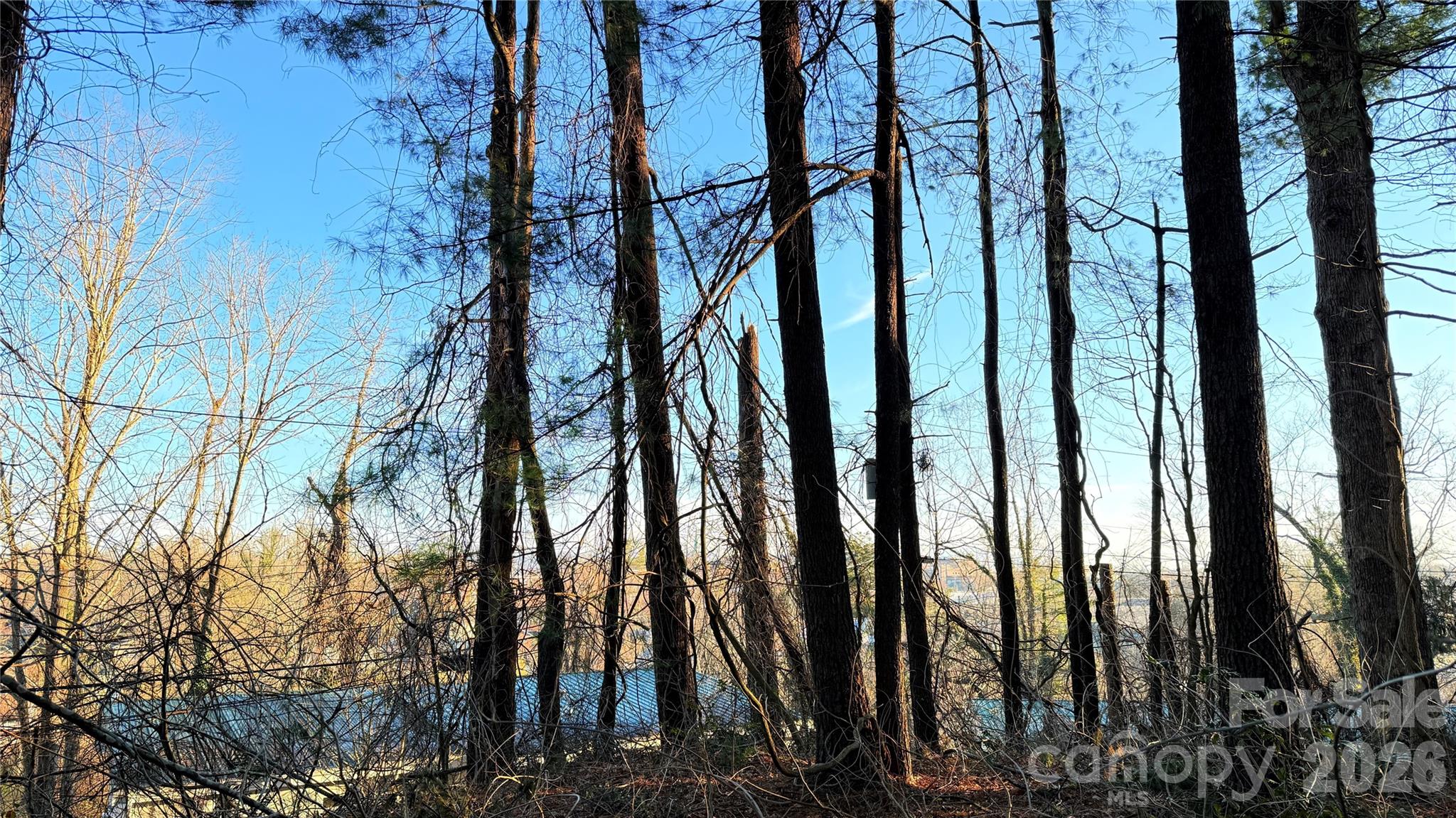 Toms Hill Park - Land