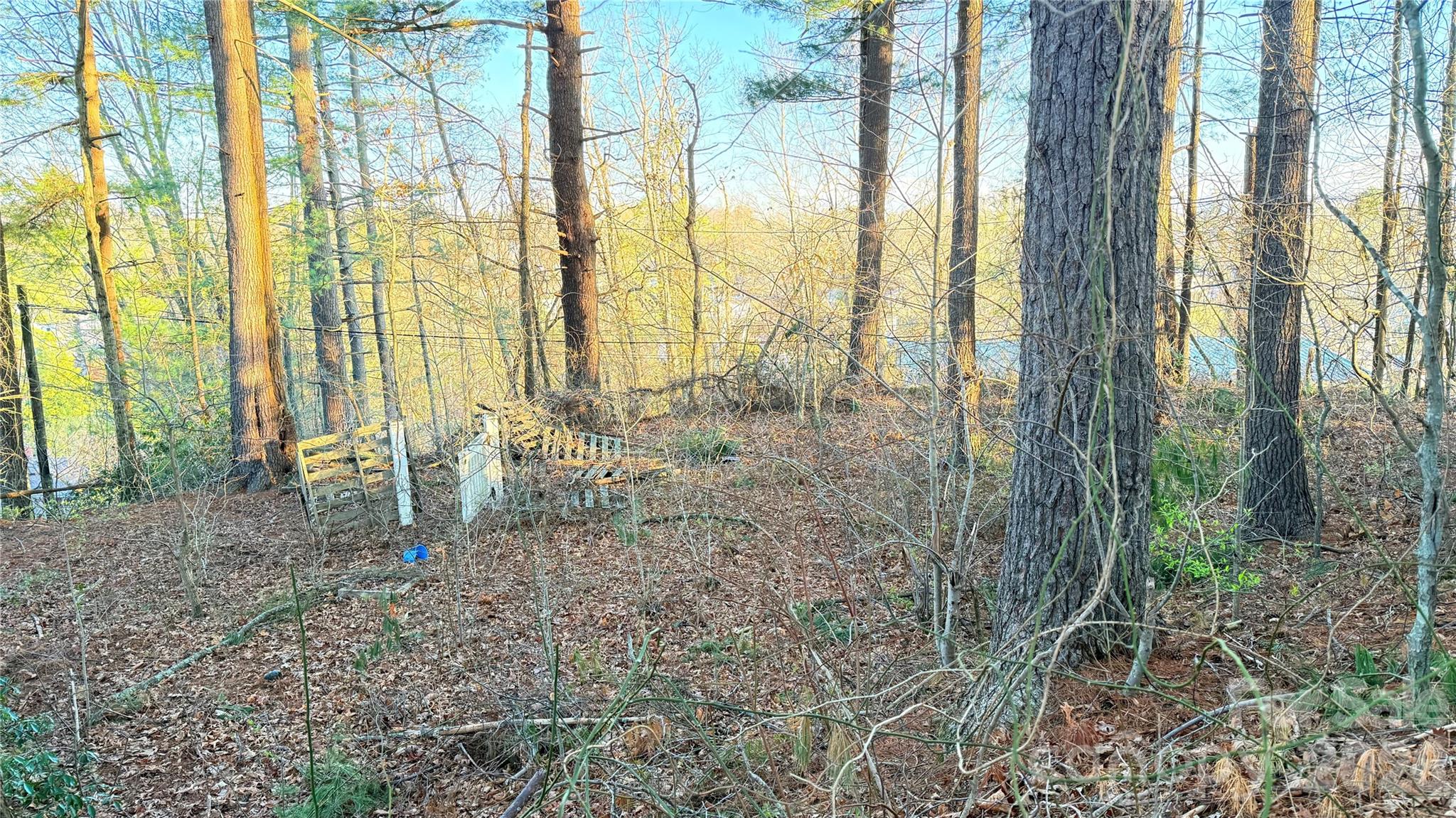 00 Toms Park Circle 21&22