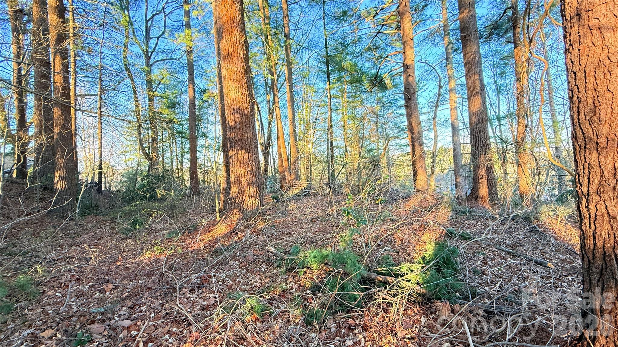 Toms Hill Park - Land
