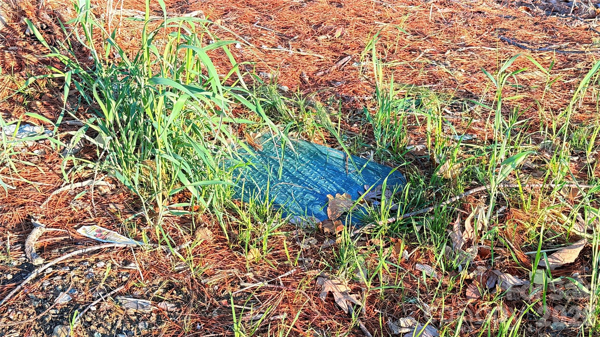 Toms Hill Park - Land