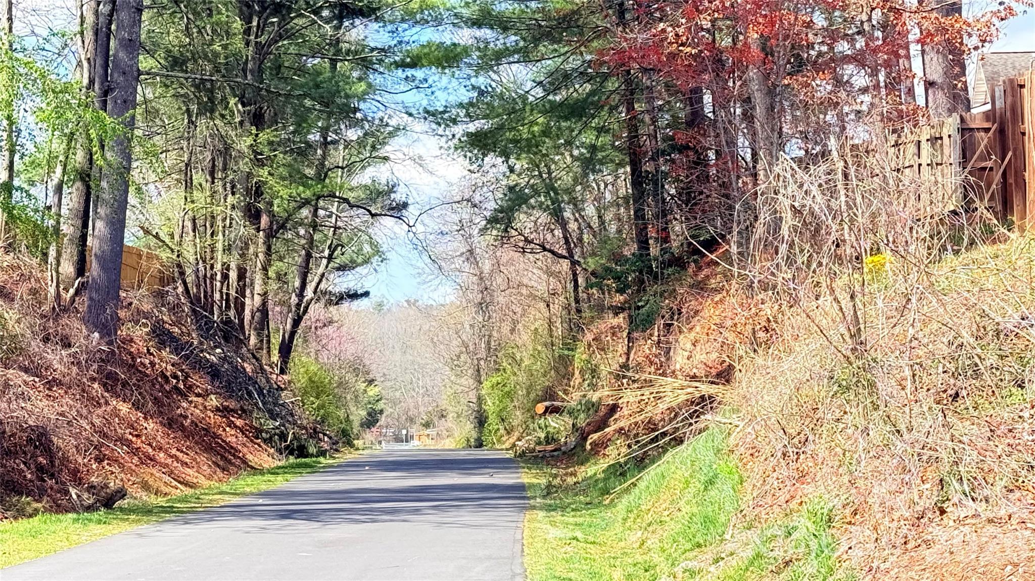 Toms Hill Park - Land